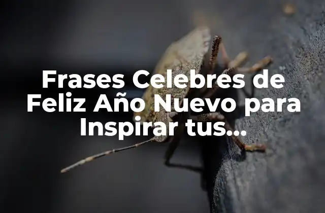Frases Celebres de Feliz Año Nuevo para Inspirar Tus Celebraciones