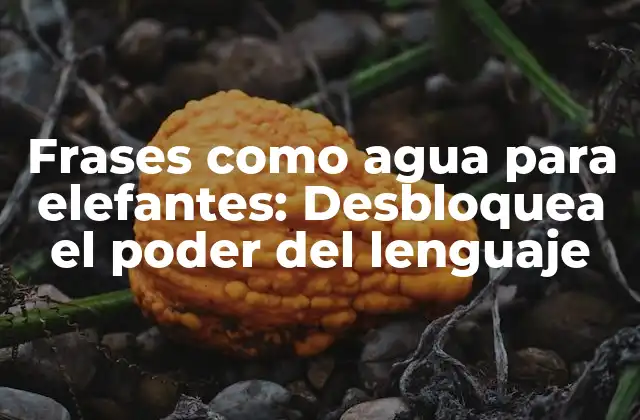 Frases como Agua para Elefantes: Desbloquea el Poder Del Lenguaje