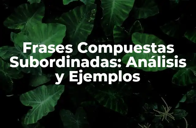 Frases Compuestas Subordinadas: Análisis y Ejemplos 2 ¿Qué son las Frases Compuestas Subordinadas?