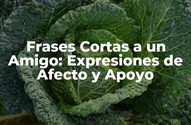 Frases Cortas a un Amigo: Expresiones de Afecto y Apoyo