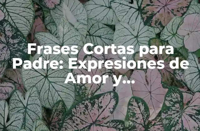 Frases Cortas para Padre: Expresiones de Amor y Agradecimiento