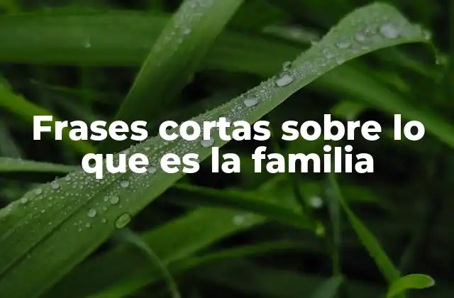 Frases Cortas sobre Lo que es la Familia
