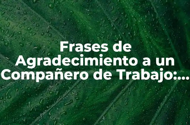 Frases de Agradecimiento a un Compañero de Trabajo: Expresiones de Gratitud