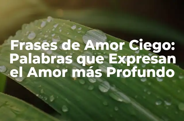 ¿Qué son las Frases de Amor Ciego?