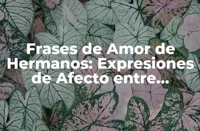 Frases de Amor de Hermanos: Expresiones de Afecto entre Hermanos