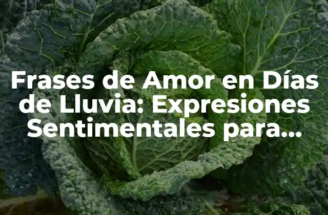 Frases de Amor en Días de Lluvia: Expresiones Sentimentales para Momentos Emocionales