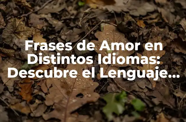 Frases de Amor en Distintos Idiomas: Descubre el Lenguaje Del Amor en Todo el Mundo