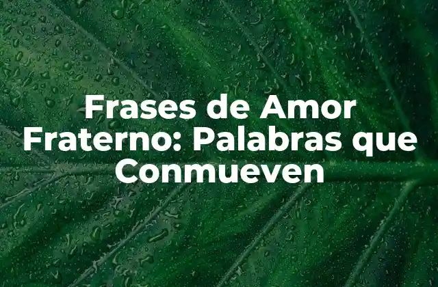 Frases de Amor Fraterno: Palabras que Conmueven