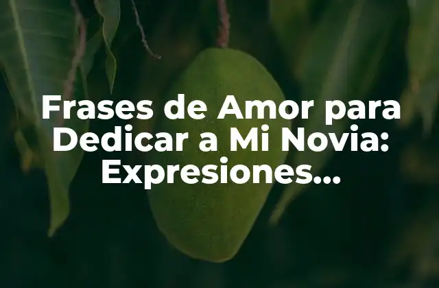 Frases de Amor para Dedicar a Mi Novia: Expresiones Románticas para Conquistar Su Corazón