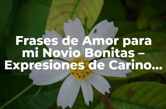 Frases de Amor para Mi Novio Bonitas – Expresiones de Carino para Fortalecer Tu Relación