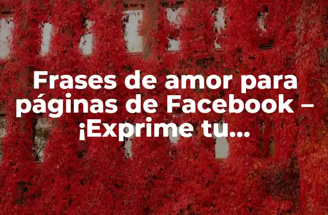 Frases de Amor para Páginas de Facebook – ¡exprime Tu Sentimiento!
