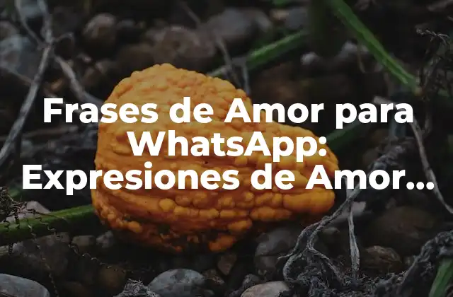 Frases de Amor para Whatsapp: Expresiones de Amor para Mensajes Románticos