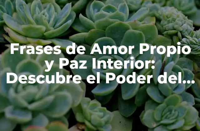Frases de Amor Propio y Paz Interior: Descubre el Poder Del Autoamor