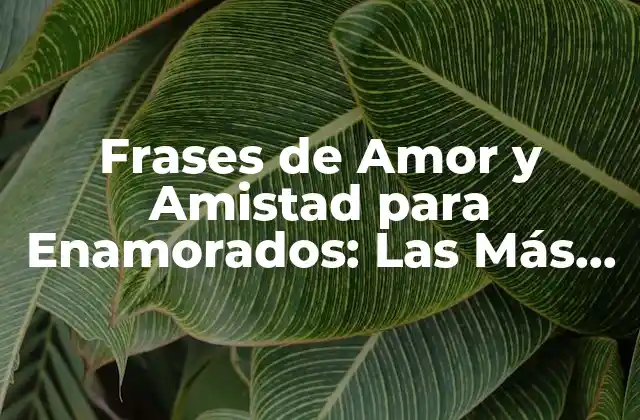 Frases de Amor y Amistad para Enamorados: las Más Románticas y Sentidas