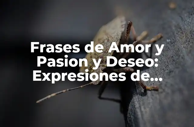 ¿Cuál es el Poder de las Frases de Amor y Pasion y Deseo?