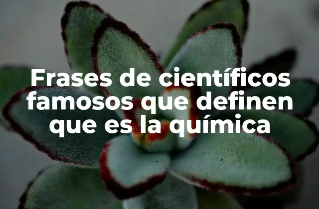 Frases de Científicos Famosos que Definen que es la Química