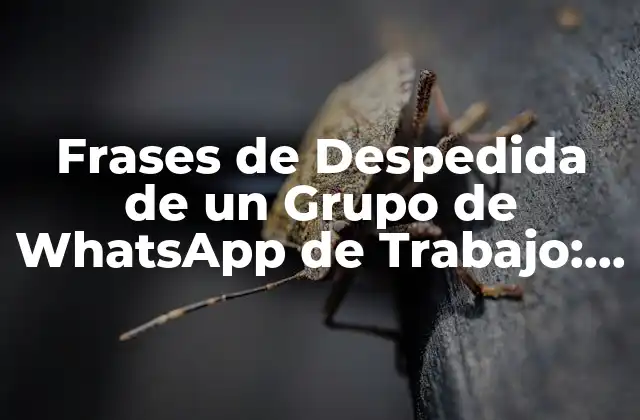 Frases de Despedida de un Grupo de Whatsapp de Trabajo: Ideas y Ejemplos