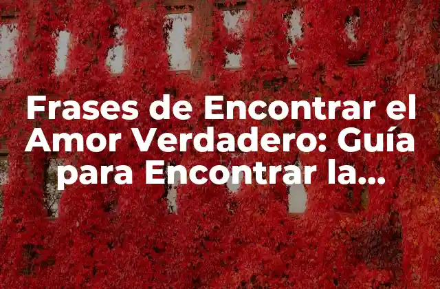 Frases de Encontrar el Amor Verdadero: Guía para Encontrar la Pareja Ideal