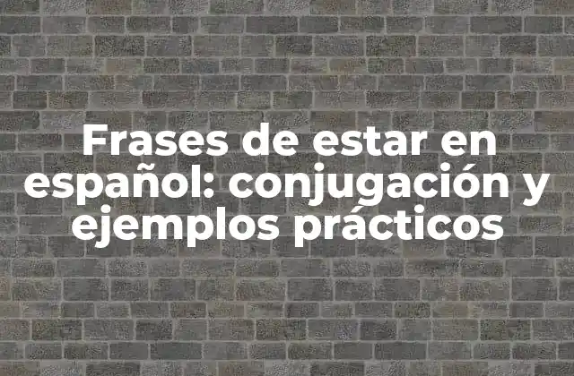 Frases de Estar en Español: Conjugación y Ejemplos Prácticos