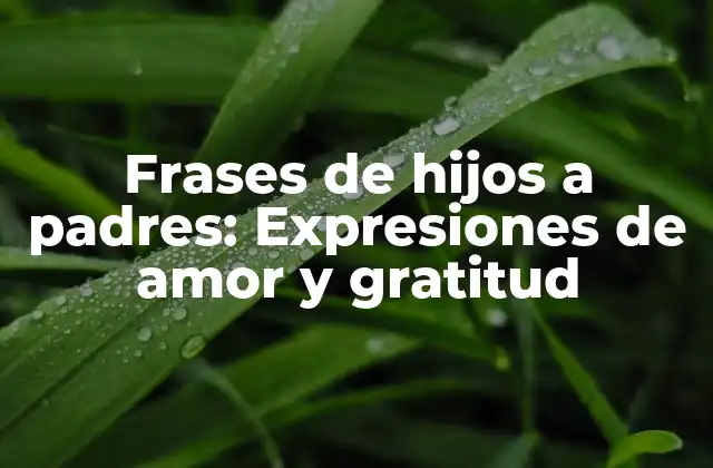 Frases de Hijos a Padres: Expresiones de Amor y Gratitud