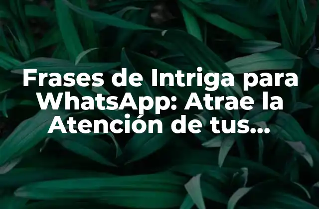 Frases de Intriga para Whatsapp: Atrae la Atención de Tus Amigos