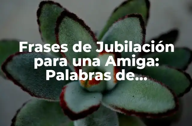 Frases de Jubilación para una Amiga: Palabras de Agradecimiento y Celebración