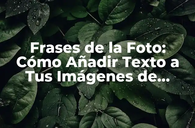 Frases de la Foto: Cómo Añadir Texto a Tus Imágenes de Forma Creativa