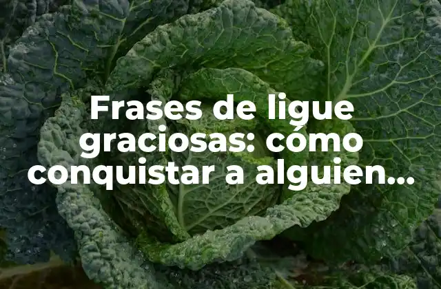 Frases de Ligue Graciosas: Cómo Conquistar a Alguien con Estilo