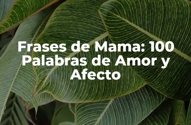 Frases de Mama: 100 Palabras de Amor y Afecto 2 Frases de Agradecimiento para Mama