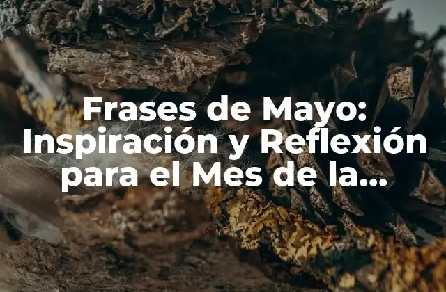 Frases de Mayo: Inspiración y Reflexión para el Mes de la Primavera