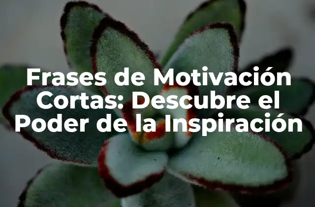 ¿Por qué las Frases de Motivación Cortas son Efectivas?