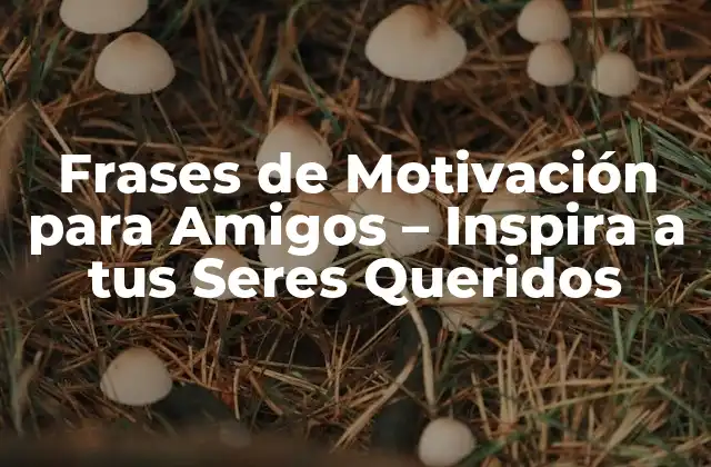 Frases de Motivación para Amigos – Inspira a Tus Seres Queridos