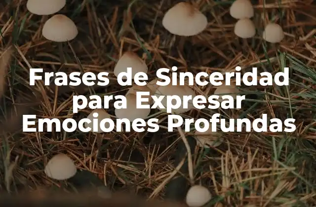 Frases de Sinceridad para Expresar Emociones Profundas