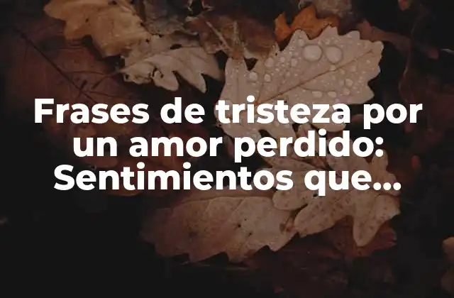 Frases de Tristeza por un Amor Perdido: Sentimientos que Duele Expresar