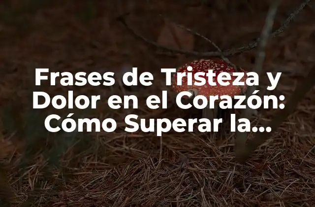 Frases de Tristeza y Dolor en el Corazón: Cómo Superar la Aflicción 2 ¿Qué Son las Frases de Tristeza y Dolor en el Corazón?