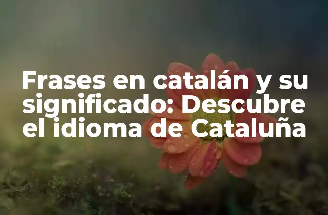 Frases en Catalán y Su Significado: Descubre el Idioma de Cataluña