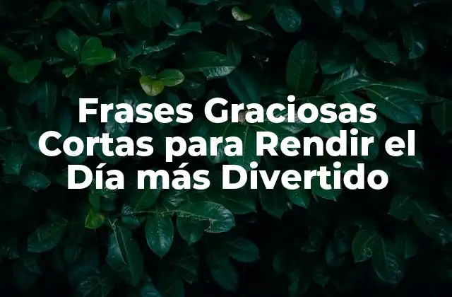 Frases Graciosas Cortas para Rendir el Día Más Divertido 2 ¿Por qué las Frases Graciosas Cortas son tan Efectivas?