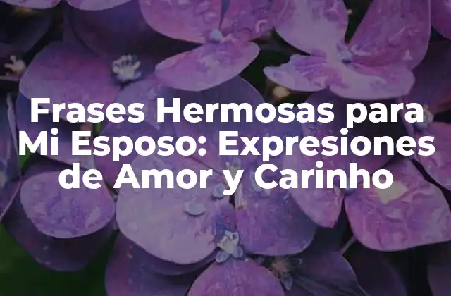 Frases Hermosas para Mi Esposo: Expresiones de Amor y Carinho