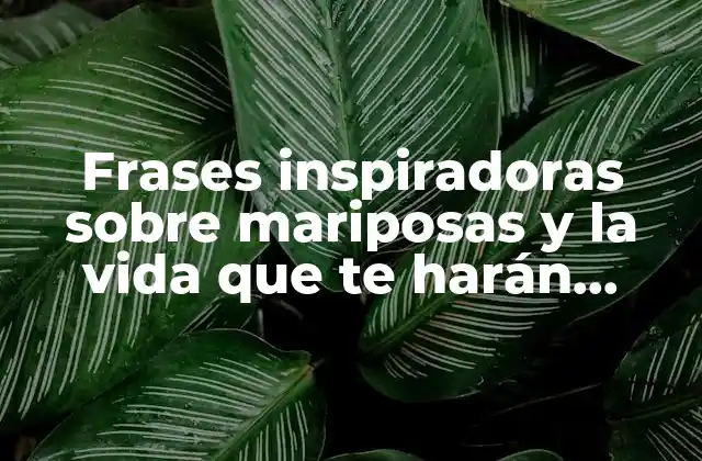 Frases Inspiradoras sobre Mariposas y la Vida que Te Harán Reflexionar