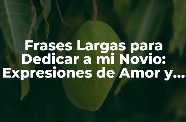 Frases Largas para Dedicar a Mi Novio: Expresiones de Amor y Afecto 2 ¿Por qué las Frases Largas son Importantes en una Relación Romántica?
