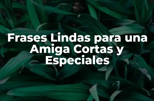Frases Lindas para una Amiga Cortas y Especiales