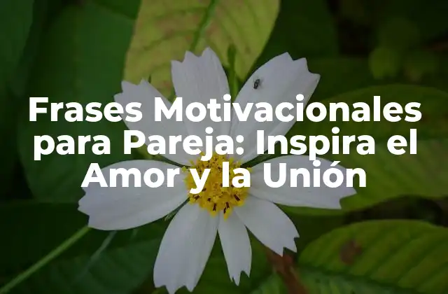Frases Motivacionales para Pareja: Inspira el Amor y la Unión