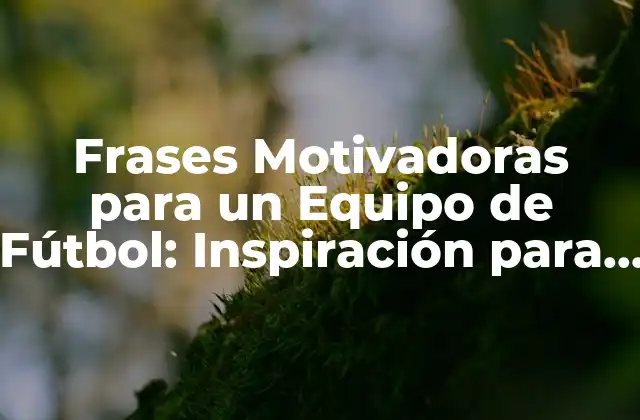 Frases Motivadoras para un Equipo de Fútbol: Inspiración para Ganar