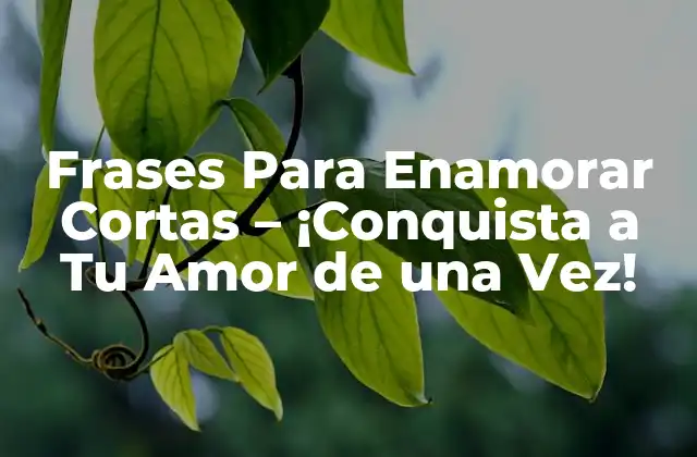 Frases para Enamorar Cortas – ¡conquista a Tu Amor de una Vez!