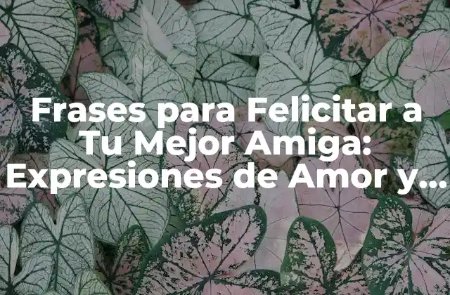 Frases para Felicitar a Tu Mejor Amiga: Expresiones de Amor y Agradecimiento