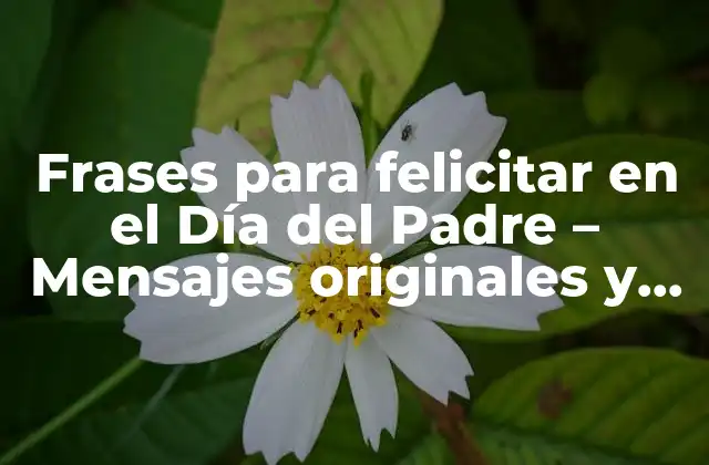 Frases para Felicitar en el Día Del Padre – Mensajes Originales y Emotivos