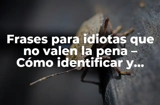 Frases para Idiotas que No Valen la Pena – Cómo Identificar y Evitarlas
