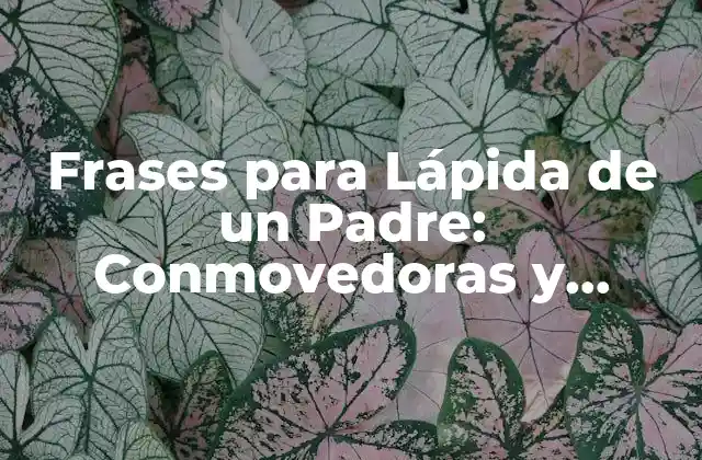 Frases para Lápida de un Padre: Conmovedoras y Sentimentales