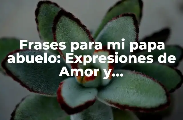 Frases para Mi Papa Abuelo: Expresiones de Amor y Agradecimiento