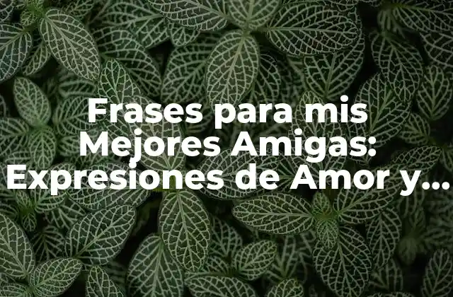 Frases para Mis Mejores Amigas: Expresiones de Amor y Agradecimiento